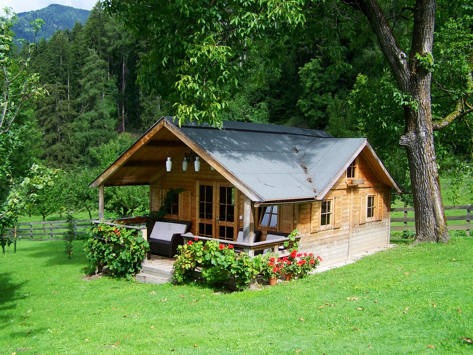 Small Wooden House in the Woods, mountain range in the background